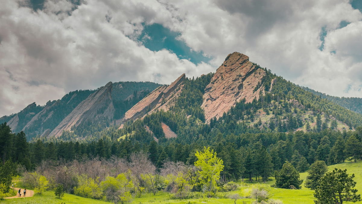 Trees below the Flatirons under white clouds